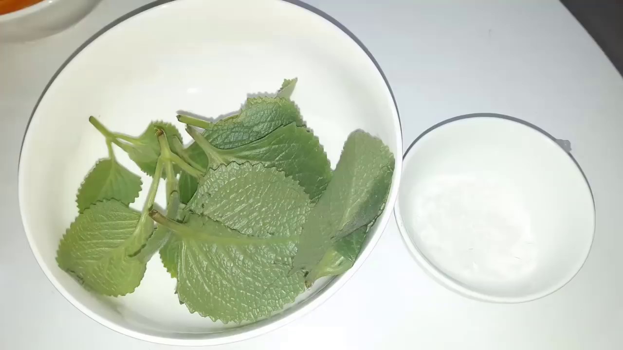 Húng chanh chữa khan tiếng nhờ đâu - 3