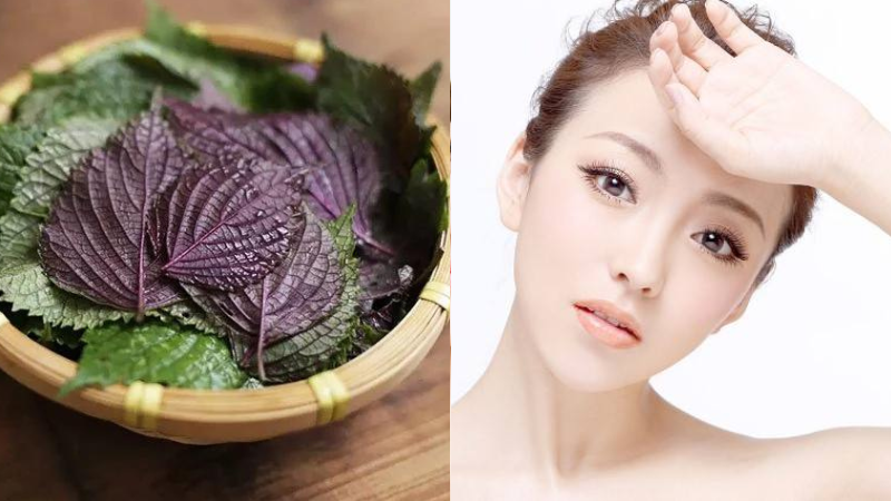 6 nguyên liệu xông mặt trắng da: An toàn, dễ kiếm, hiệu quả vượt trội 10