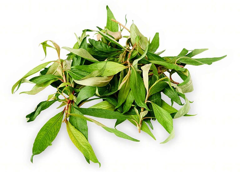 8 thực phẩm không nên kết hợp với thịt gà nhất định phải nhớ 3