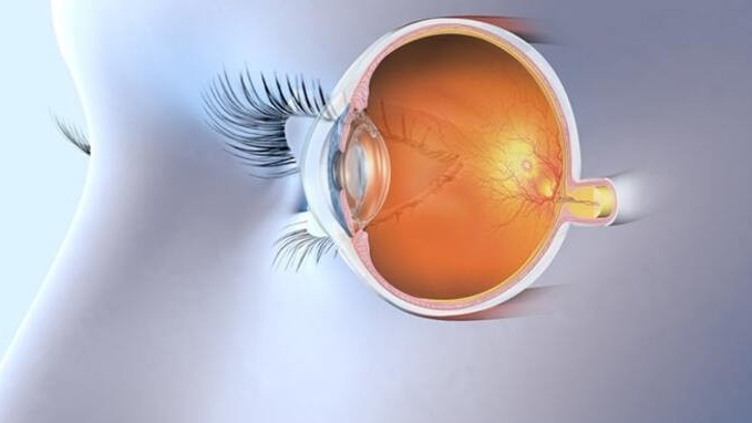 Ai có nguy cơ mắc teo dây thần kinh thị giác cao? 1