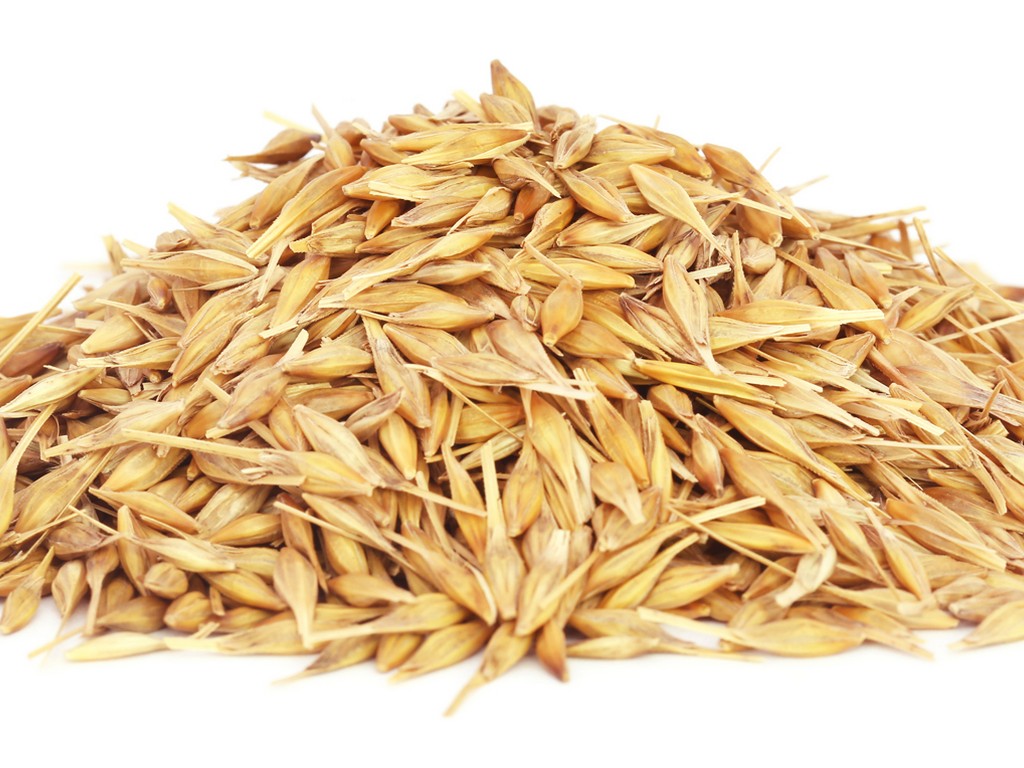 Avena sativa là gì? Công dụng của Avena sativa trong mỹ phẩm 1