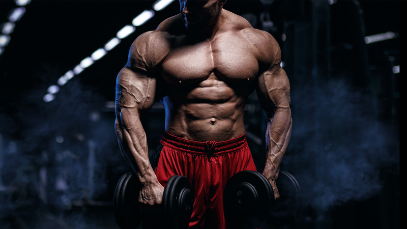 Bulking là gì? Hiểu đúng và đủ phương pháp tập luyện 1