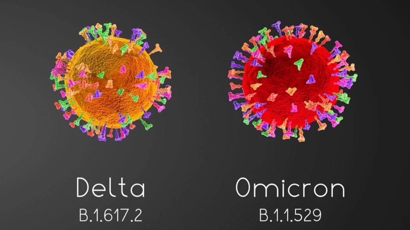 Chủng Delta và Omicron khác nhau ra sao? Cách phân biệt đúng