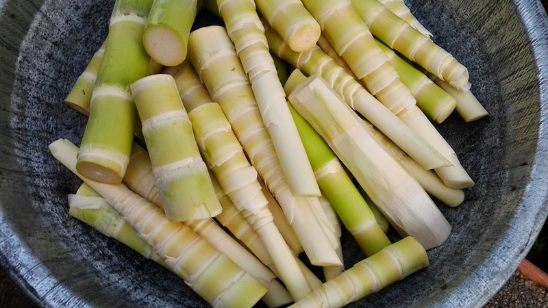 Để nhanh khỏi bệnh, người bị cảm cúm có ăn được măng không? 4