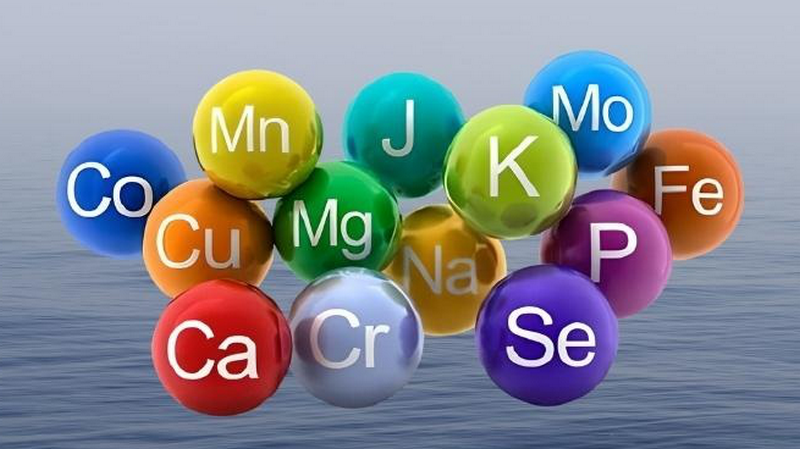 Giải đáp: Bệnh nhân mới mổ gãy xương kiêng ăn gì? 4