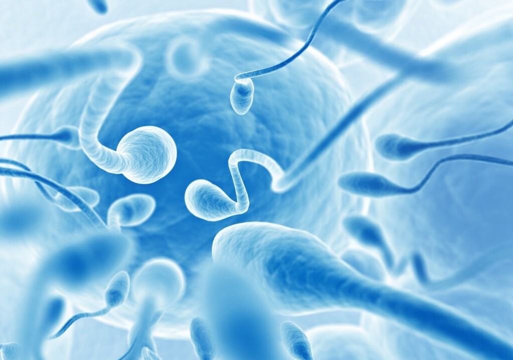 Giải đáp cùng chuyên gia: Tinh trùng lạnh có khiến nam giới bị vô sinh không? 2