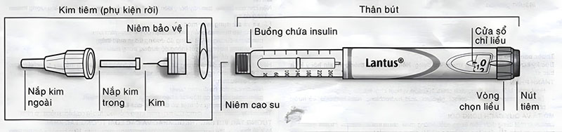 Giai-phap-benh-tieu-djuong-But-tiem-insulin-co-may-loai-2.jpeg