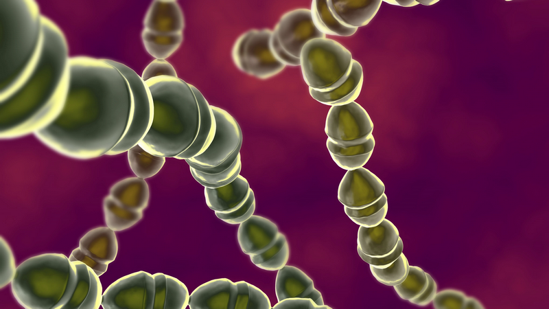 Góc giải đáp: Nên tiêm phế cầu 10 hay 13 cho trẻ? Có thể tiêm cả hai loại vắc xin không? 1