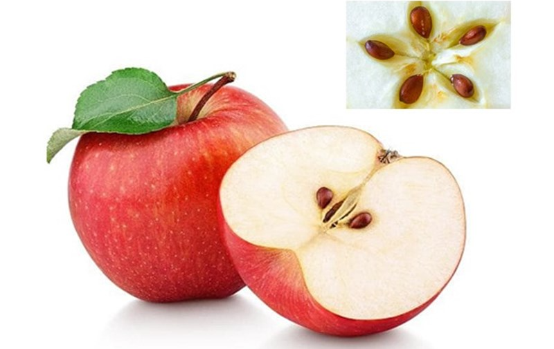 Gợi ý một vài thực phẩm có tác dụng làm sạch thận 2