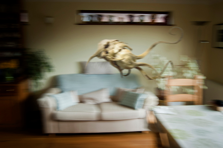 Hội chứng ảo giác Charles Bonnet 01