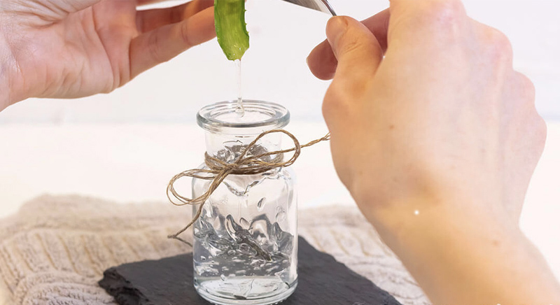 Hướng dẫn cách làm gel nha đam không cần máy xay tại nhà 4.jpg