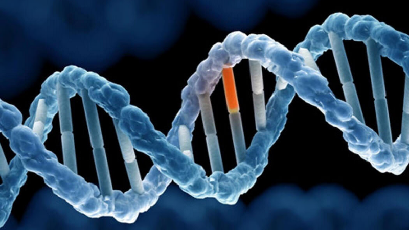 Khô da sắc tố - Dấu hiệu, nguyên nhân và cách điều trị 4