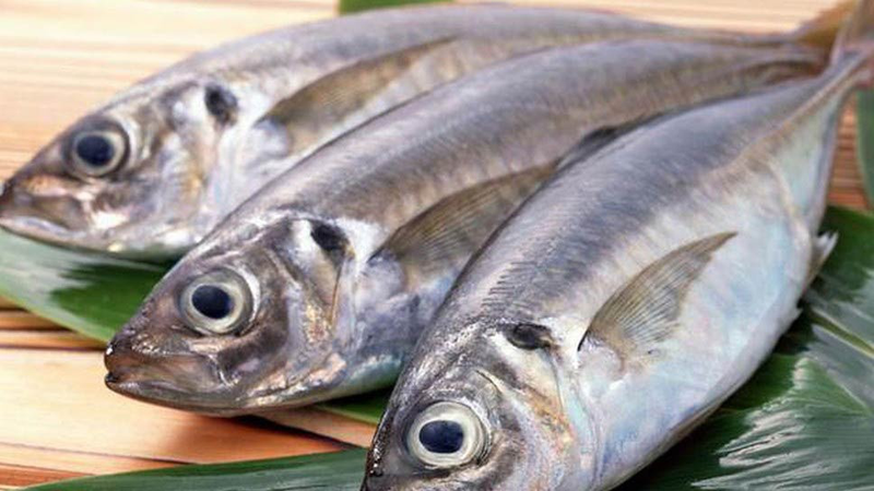 Loại cá nào dễ gây dị ứng nhất và cách xử lý 1