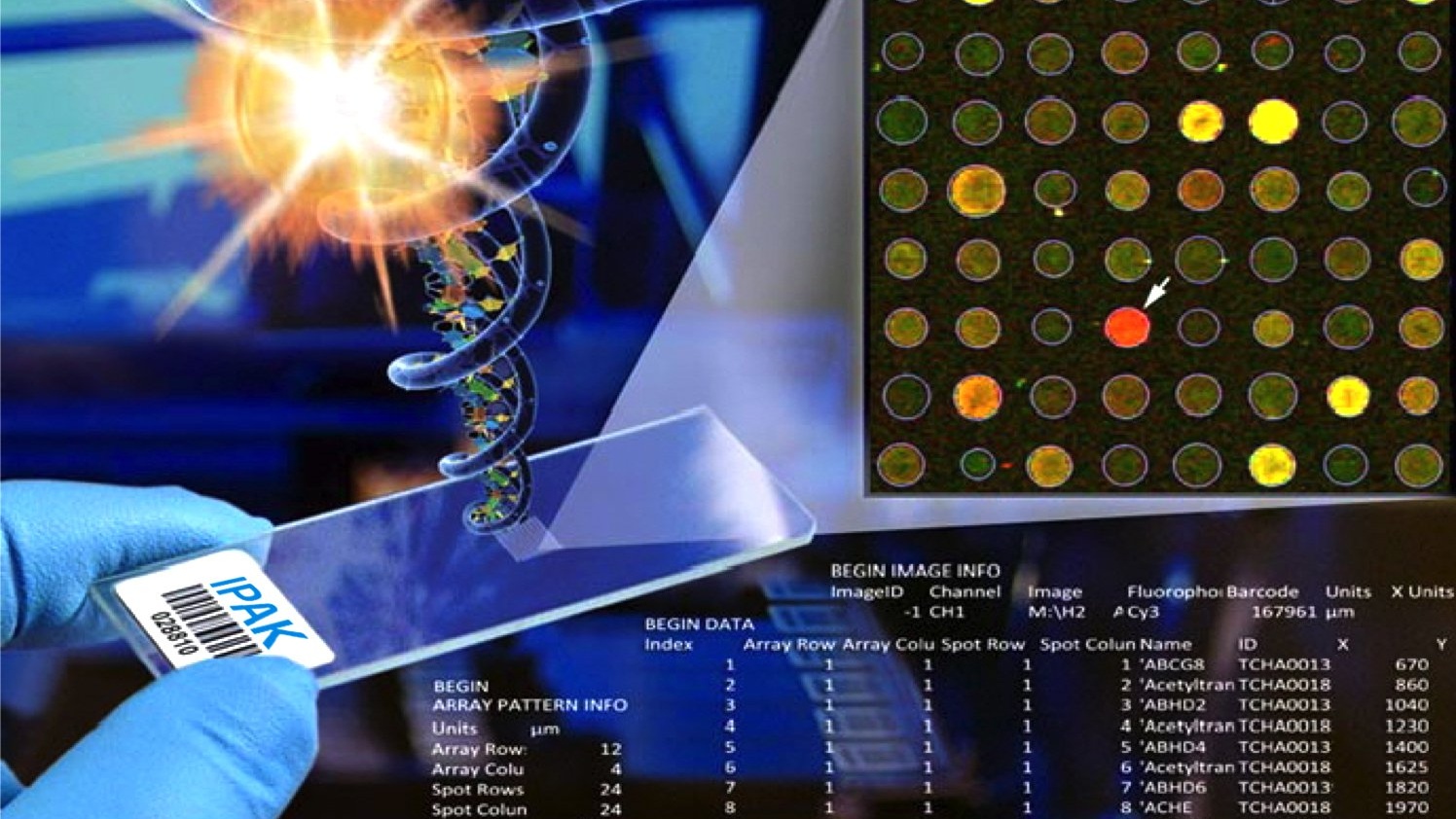 Tìm hiểu những thông tin về kỹ thuật Microarray trong xét nghiệm di ...