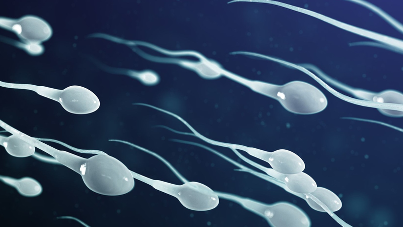 Mổ giãn tĩnh mạch thừng tinh bao lâu có con? Tỷ lệ mang thai tự nhiên cao hay thấp? 2