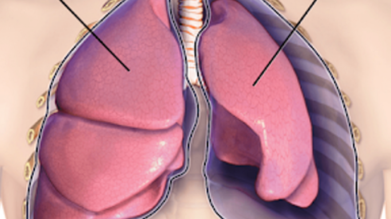 Nguyên nhân gây nên tình trạng không thể ngừng ho là gì? 3