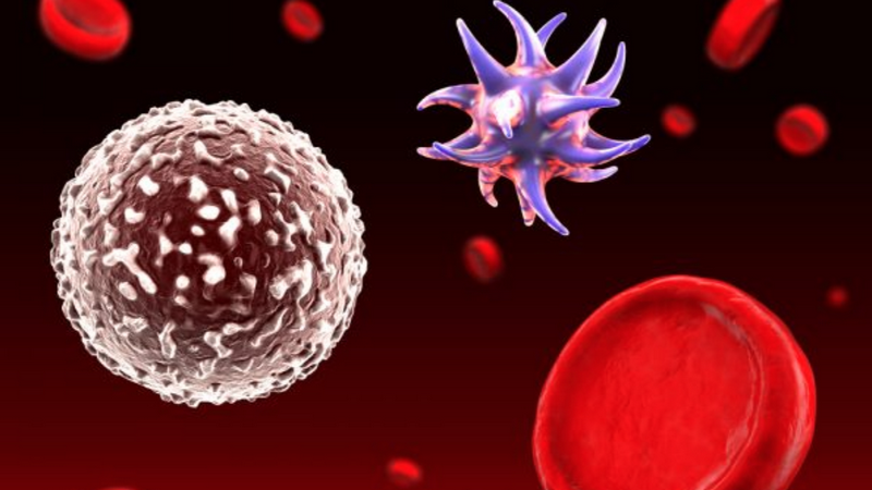 Nhận biết và điều trị rối loạn thân nhiệt ở trẻ sơ sinh: Phải làm gì nếu bé bị hạ thân nhiệt? 3