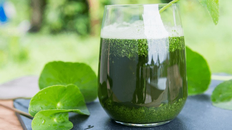 Nóng gan gây nhiệt miệng có nguy hiểm không? Các phương pháp chữa trị đơn giản tại nhà 4