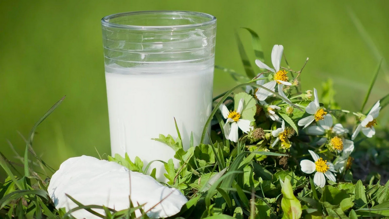 Nóng gan gây nhiệt miệng có nguy hiểm không? Các phương pháp chữa trị đơn giản tại nhà 5