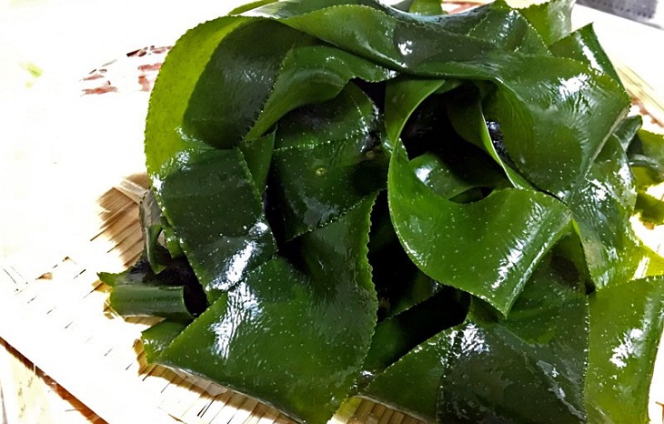 Phổ tai có công dụng gì? Phổ tai ăn sống được không 2