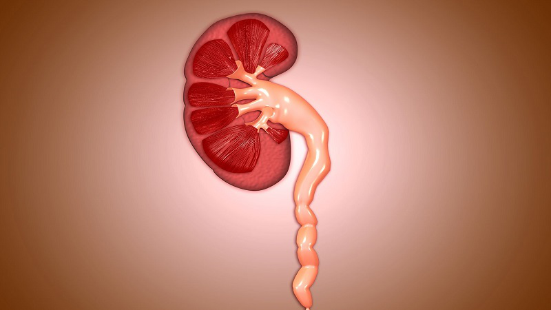 Phương pháp điều trị hẹp niệu quản hiệu quả 2