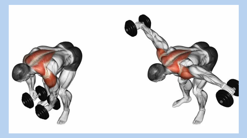 Reverse Flyes: Khái niệm, lợi ích và một số bài tập phổ biến 3