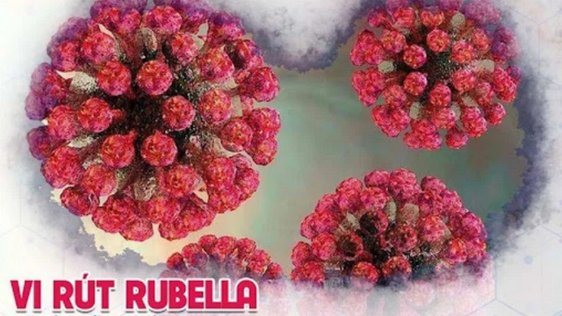 Rubella IgG dương tính: Chỉ số bao nhiêu là bình thường? 1