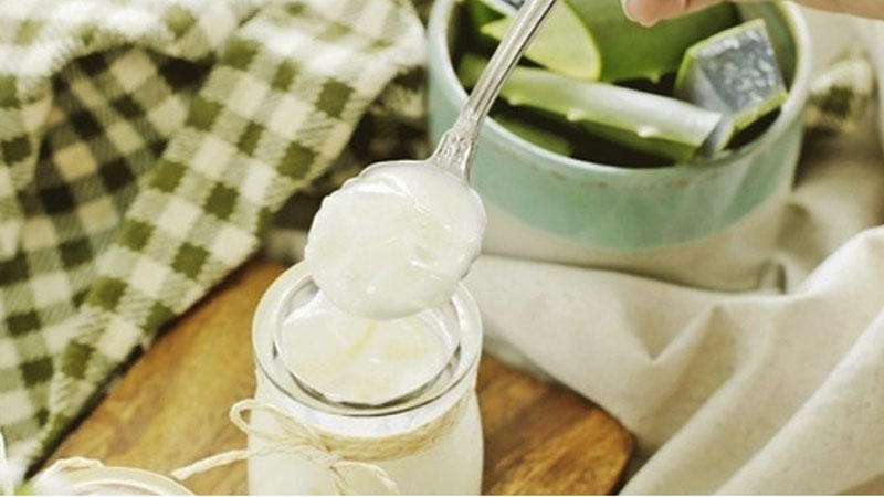 Sữa chua nha đam có tác dụng gì? Giải thích đầy đủ 1