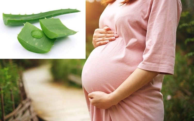 Sữa chua nha đam có tác dụng gì? Giải thích đầy đủ 3