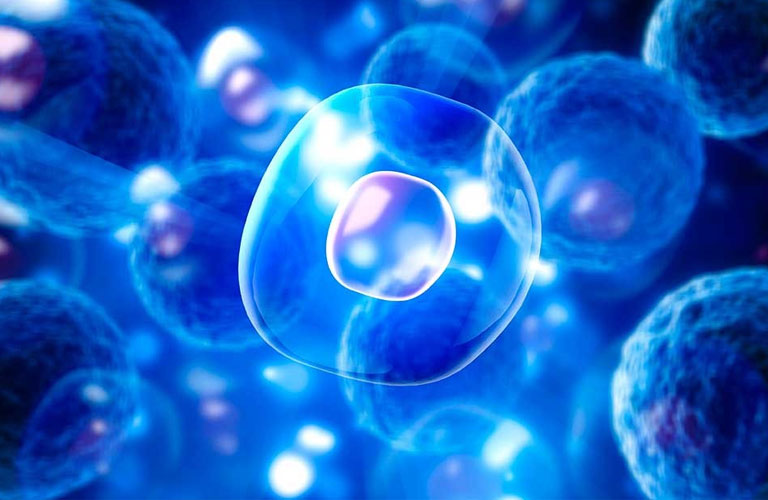 Suy giảm chức năng tế bào beta và tiểu đường type 2 2