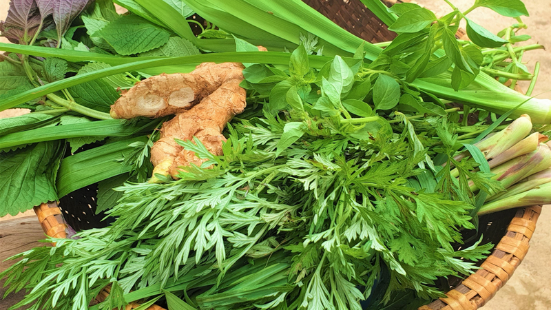 Tại sao cảm cúm lại đau người? Những ai có nguy cơ bị đau người nhiều hơn? 5