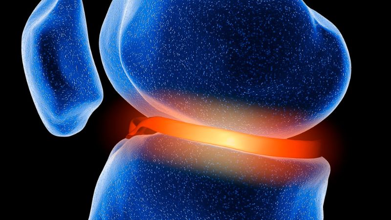 Sụn tăng trưởng hình thành như thế nào? Vai trò của sụn tăng trưởng 1