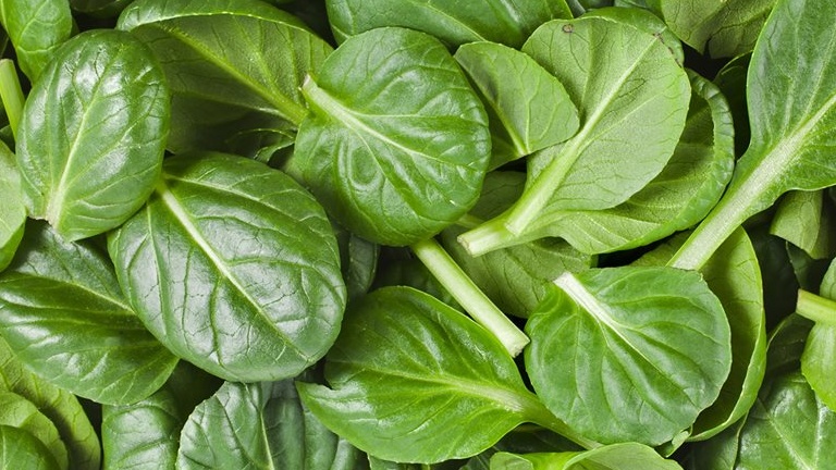 Thực phẩm chữa rối loạn cương dương 04