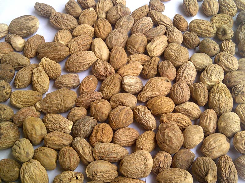 Thuốc trị gai cột sống 03