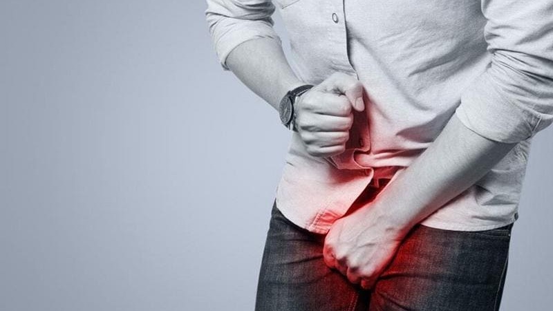 Giải phẫu hệ sinh dục nam 03