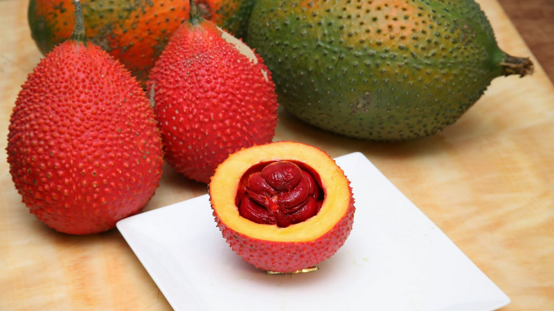 Trái gấc ăn sống được không? Công dụng trị ung thư thần kỳ 3