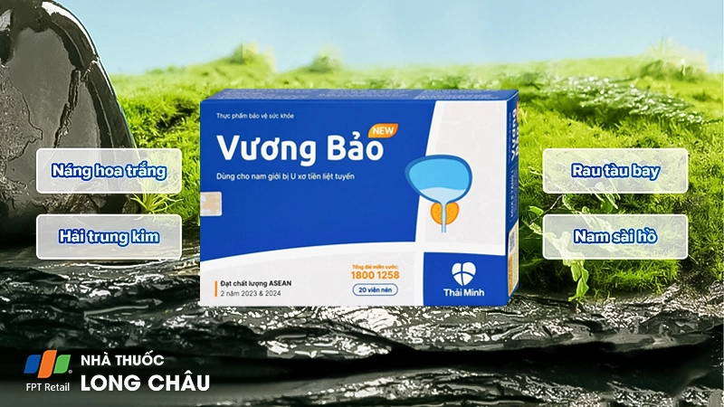 Vien_uong_Vuong_Bao_Thai_Minh_dung_cho_nam_gioi_bi_u_xo_tien_liet_tuyen_2_6d7a64a519.webp