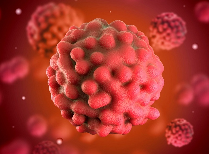 Lá hẹ có tác dụng gì? Tất tần tật những lợi ích sức khỏe của lá hẹ có thể bạn chưa biết 3