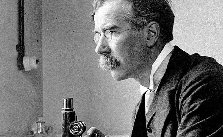 Ai là người đã phát hiện ra bệnh thương hàn? 3