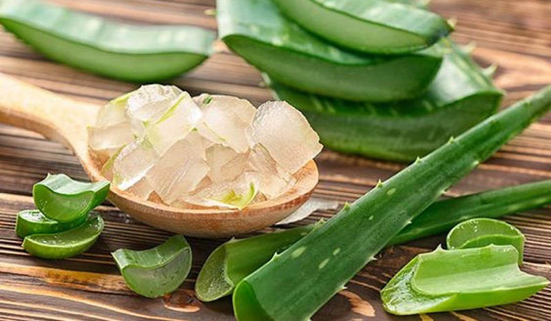 Aloe Vera là gì? Công dụng của Aloe Vera đối với sức khỏe và làn da.1