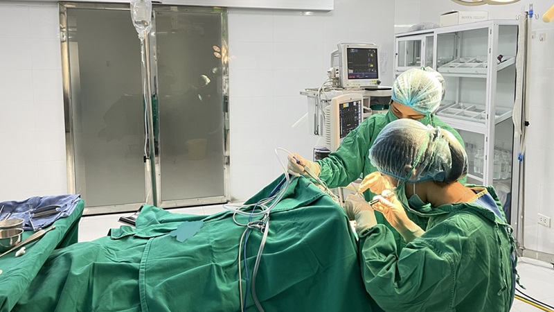 Amidan sưng to: Nguyên nhân, phân loại và giải pháp can thiệp 3