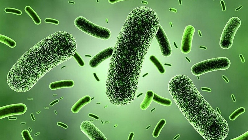 an-chung-voi-nguoi-bi-lao-co-sao-khong-nhung-dieu-can-biet 1