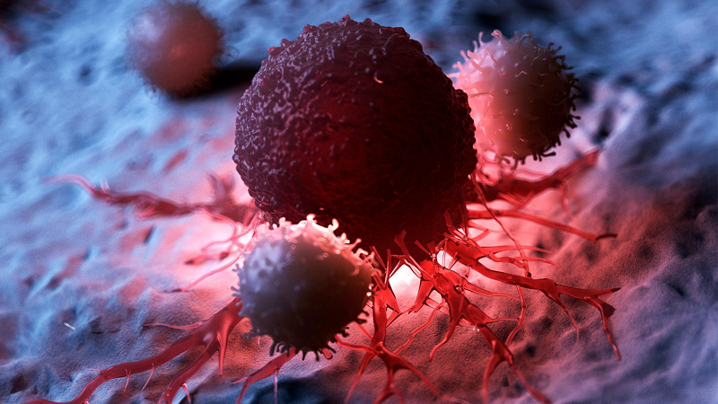 an-chung-voi-nguoi-bi-ung-thu-co-sao-khong-nhung-dieu-can-biet 1