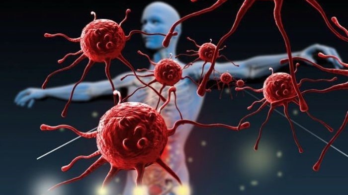 an-chung-voi-nguoi-bi-ung-thu-co-sao-khong-nhung-dieu-can-biet 2