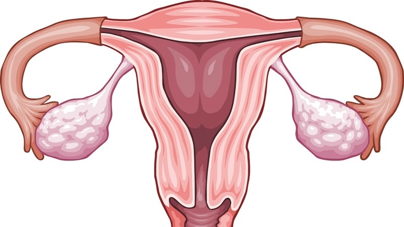 an-gi-tot-cho-trung-va-niem-mac-nhung-thuc-pham-ho-tro-suc-khoe-sinh-san 1