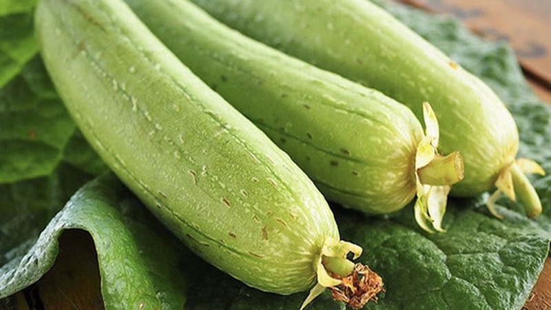 Ăn mướp có tốt không? Cần lưu ý điều gì khi sử dụng? 2