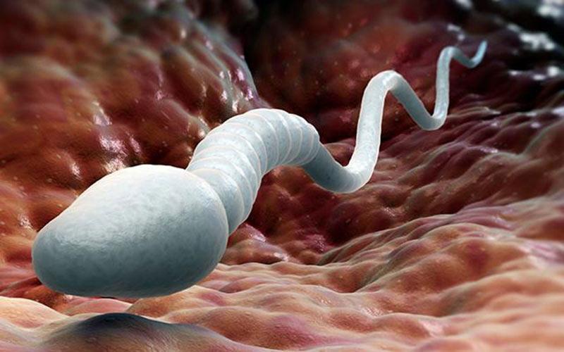 Áp lạnh cổ tử cung có sinh thường được không? 2