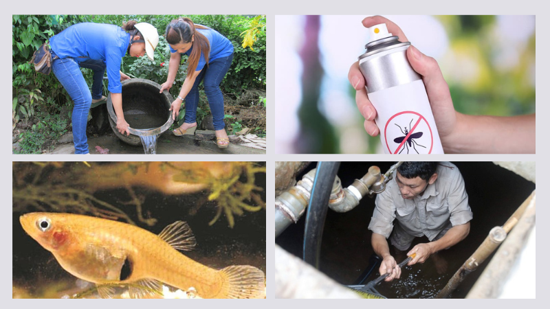 Ấu trùng muỗi: Đặc điểm sinh học và cách phòng chống, tiêu diệt 3