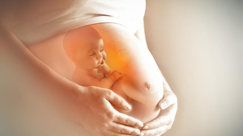 autosexual-la-gi-nhung-dieu-can-biet-ve-autosexual 3