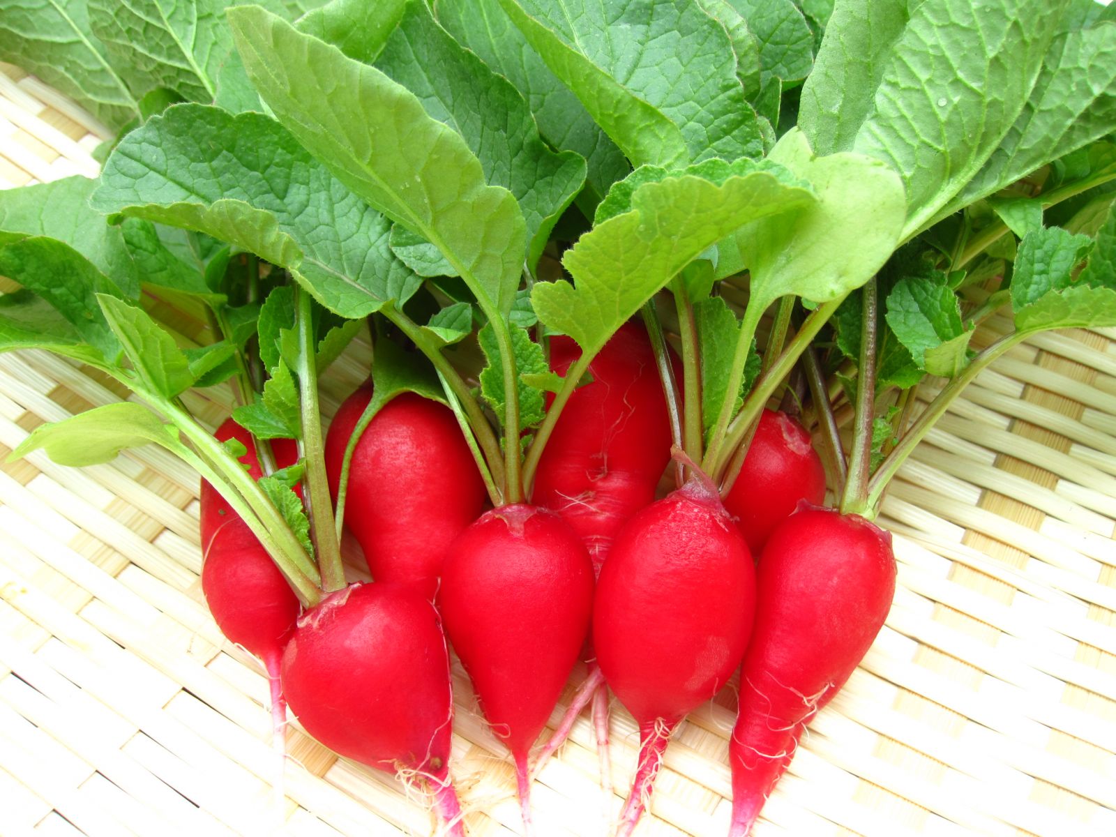 Succinic acid là gì? Công dụng của Succinic acid trong mỹ phẩm 2